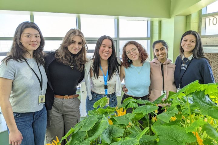 Six High Tech Seniors Present Research on Global Food Security