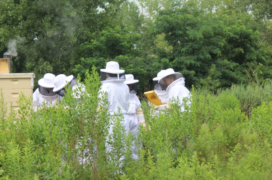 HCST Summer Sustainability Project 2023